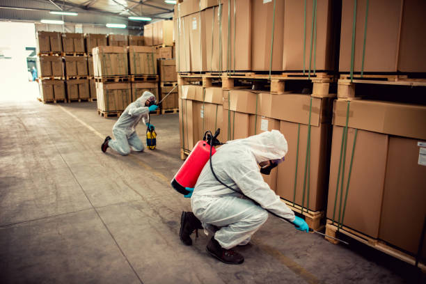 Best Best Pest Control Near Me  in Grant City, MO