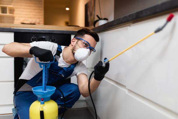 Best Bed Bug Extermination  in Grant City, MO
