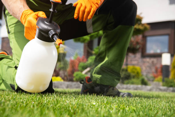 Best Best Pest Control Companies  in Grant City, MO