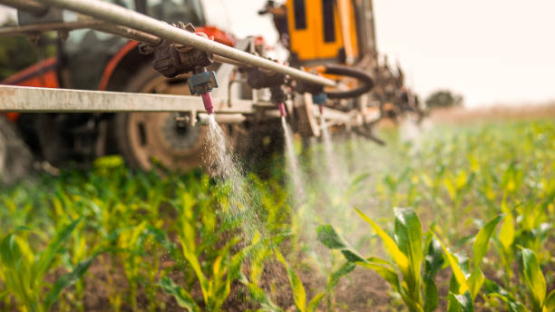 Best Pest Removal Services  in Grant City, MO